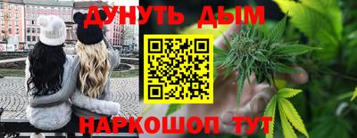 крисы Обь
