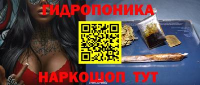 крисы Обь