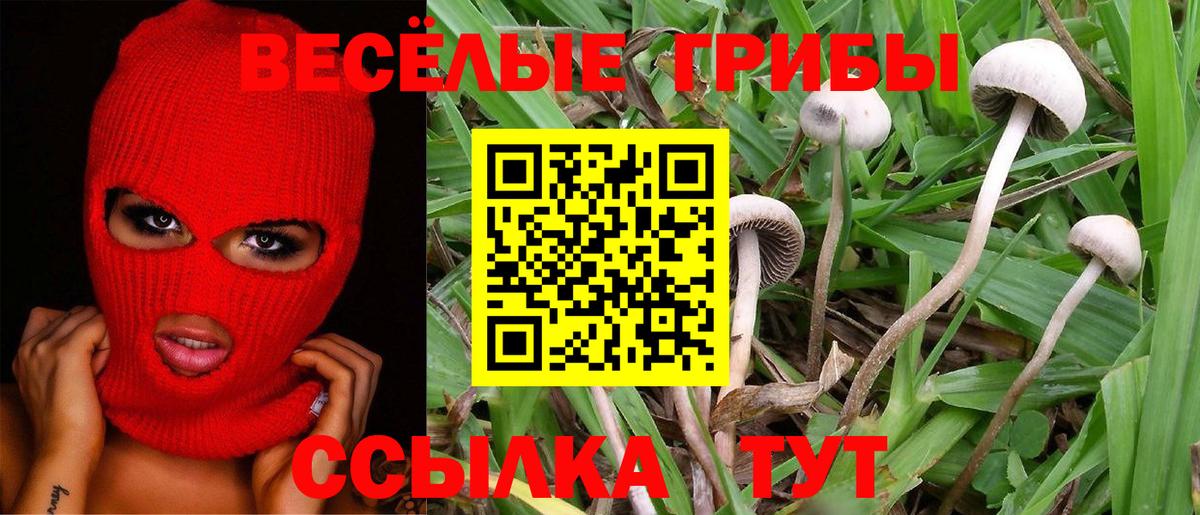 Галлюциногенные грибы MAGIC MUSHROOMS  Вход с VPN  дарнет шоп  Усолье-Сибирское 